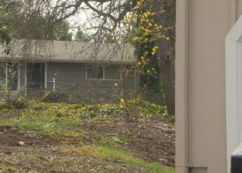 Fatal Shooting on West 18th Avenue in Eugene Leaves Neighbors in Shock