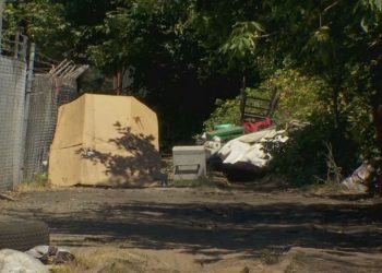 Second Suspect Appears in Court Over North Portland Dog Mauling Incident