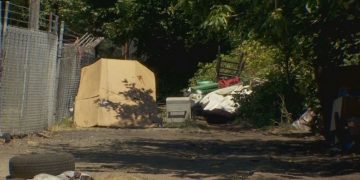 Second Suspect Appears in Court Over North Portland Dog Mauling Incident