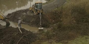 Severe Weather Causes Significant Damage to Wildlife Safari in Winston, Oregon