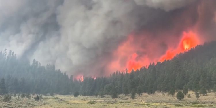 Layoffs at National Weather Service and NOAA Spark Concerns Over Weather Tracking in Oregon