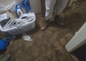 Flooding in Drain, Oregon Leaves Residents Struggling for Support