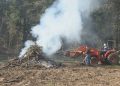 Lane County Residents Can Now Burn Yard Debris as Spring Outdoor Burning Season Begins