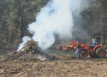 Lane County Residents Can Now Burn Yard Debris as Spring Outdoor Burning Season Begins