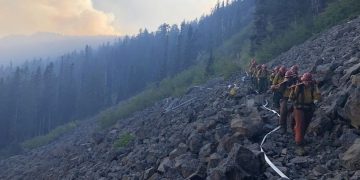 Trump Administration’s Directive on National Forests Faces Backlash from Environmental Groups