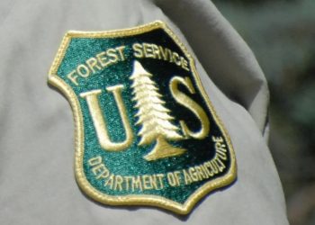 U.S. Forest Service to Conduct Controlled Burns in Willamette National Forest