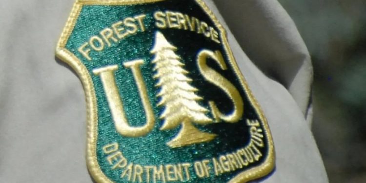 U.S. Forest Service to Conduct Controlled Burns in Willamette National Forest