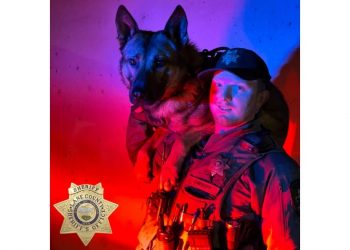 Cottage Grove Man Arrested After Violent Dispute, Multiple Agencies Assist in Search