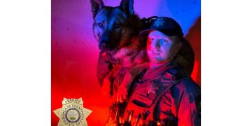 Cottage Grove Man Arrested After Violent Dispute, Multiple Agencies Assist in Search