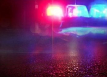 Former Springfield Police Sergeant Charged with Domestic Violence
