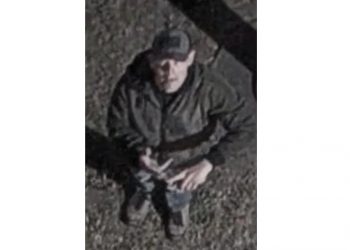 Eugene Police Seek Help Identifying Suspect in Vandalism at City Hall