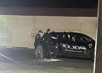 Man Arrested for Stealing Seven Exotic Lizards from Roseburg Business