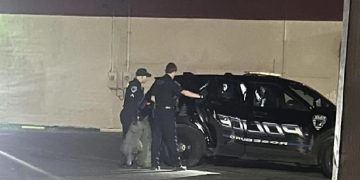 Man Arrested for Stealing Seven Exotic Lizards from Roseburg Business