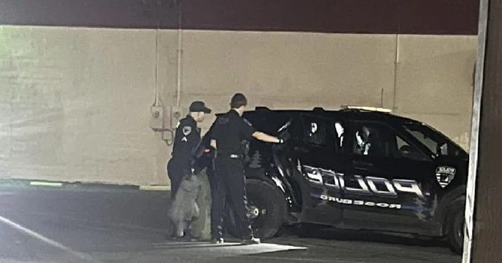 Man Arrested for Stealing Seven Exotic Lizards from Roseburg Business