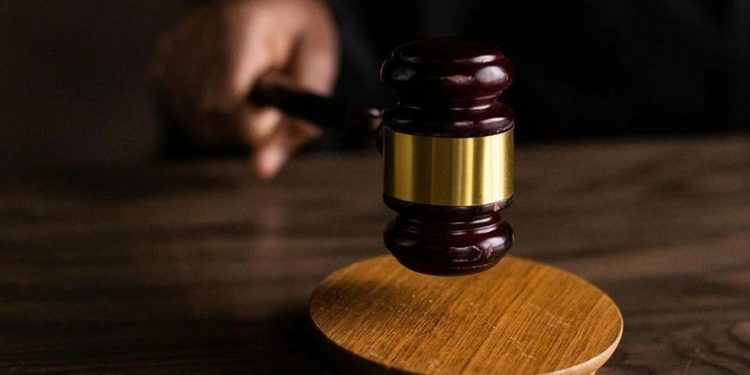 Roseburg Man Sentenced for Animal Neglect After Pleading No Contest