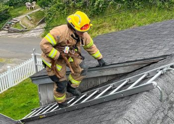 Astoria firefighters rescue young deer stranded on rooftop on Fourth of July