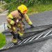 Astoria firefighters rescue young deer stranded on rooftop on Fourth of July