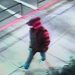 Astoria Police search for armed robbery suspect after Safeway employee robbed at gunpoint